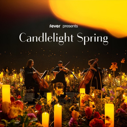 Candlelight: A Tribute to Beyonce concerts in Fort Worth.
